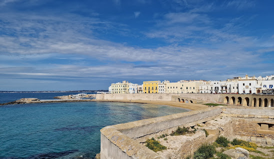 Puglia, a Gallipoli strutture come pollaio